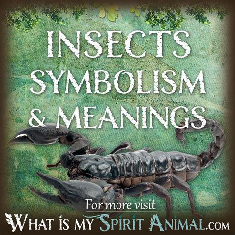 The Symbolic World of Insects and Animals in Dreams
